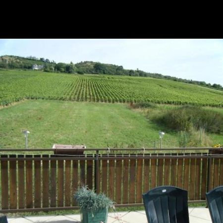 Maison Au Milieu Des Vignes Moroges 외부 사진