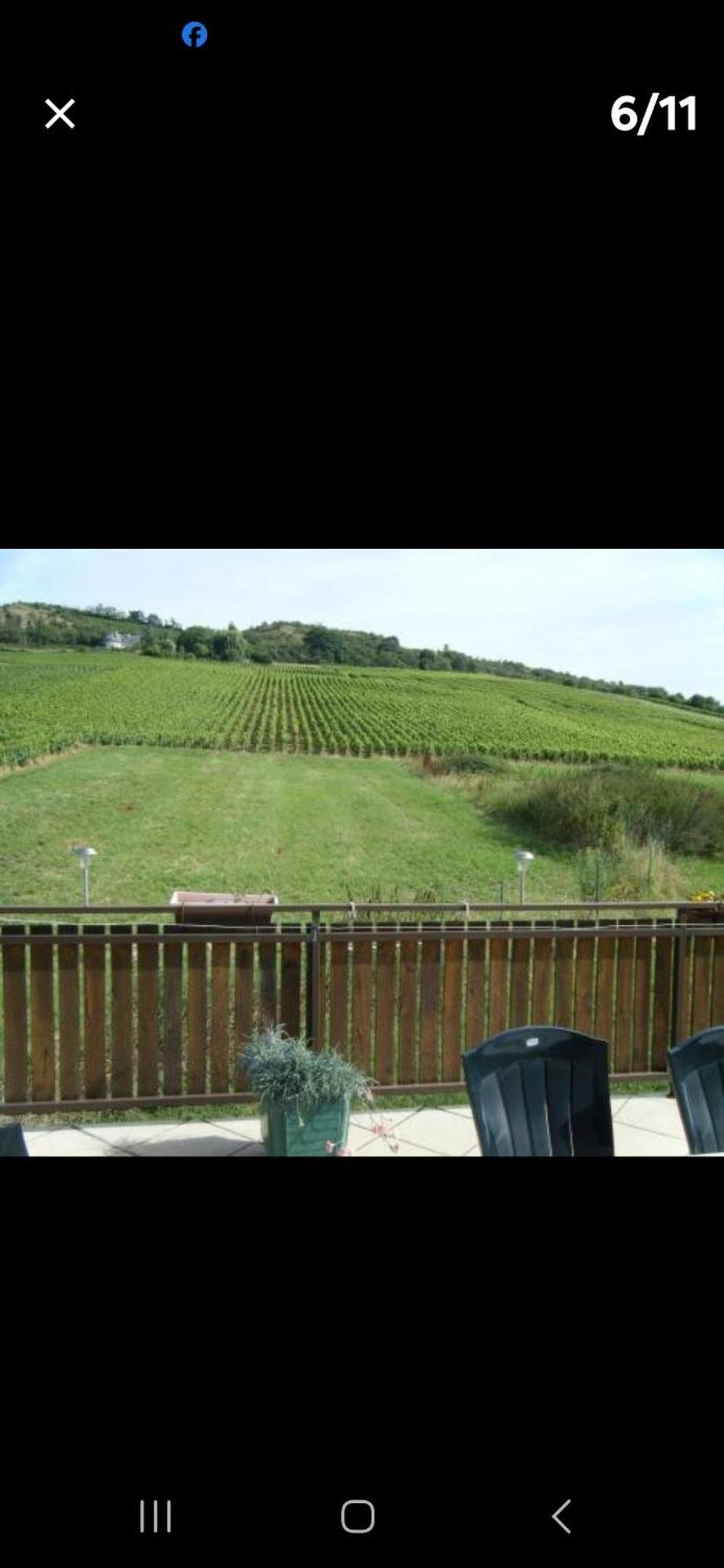 Maison Au Milieu Des Vignes Moroges 외부 사진